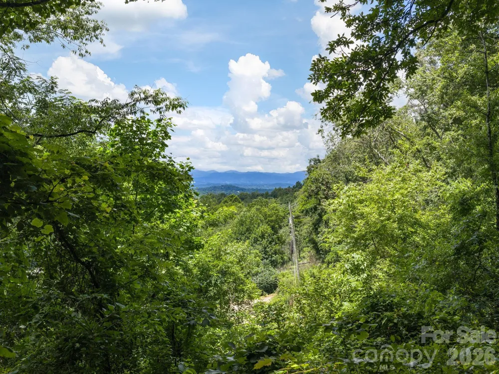 46 Perennial Ridge Weaverville, NC 28787