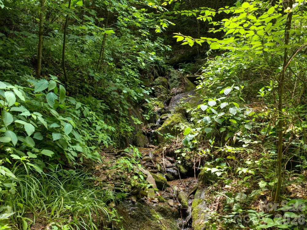 46 Perennial Ridge Weaverville, NC 28787