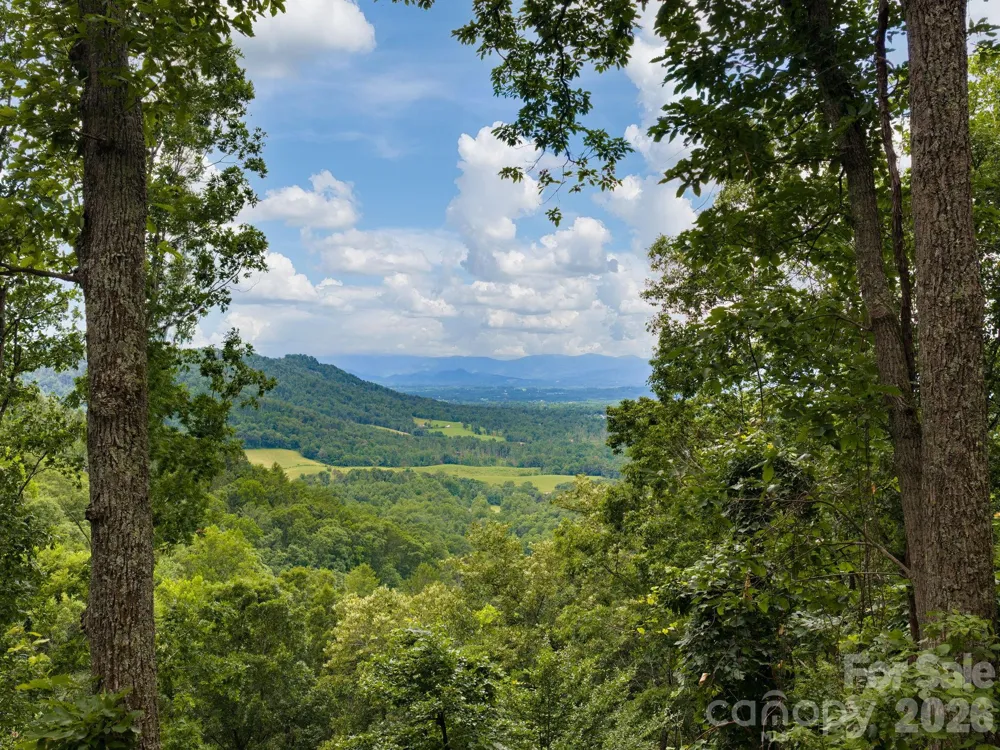 46 Perennial Ridge Weaverville, NC 28787