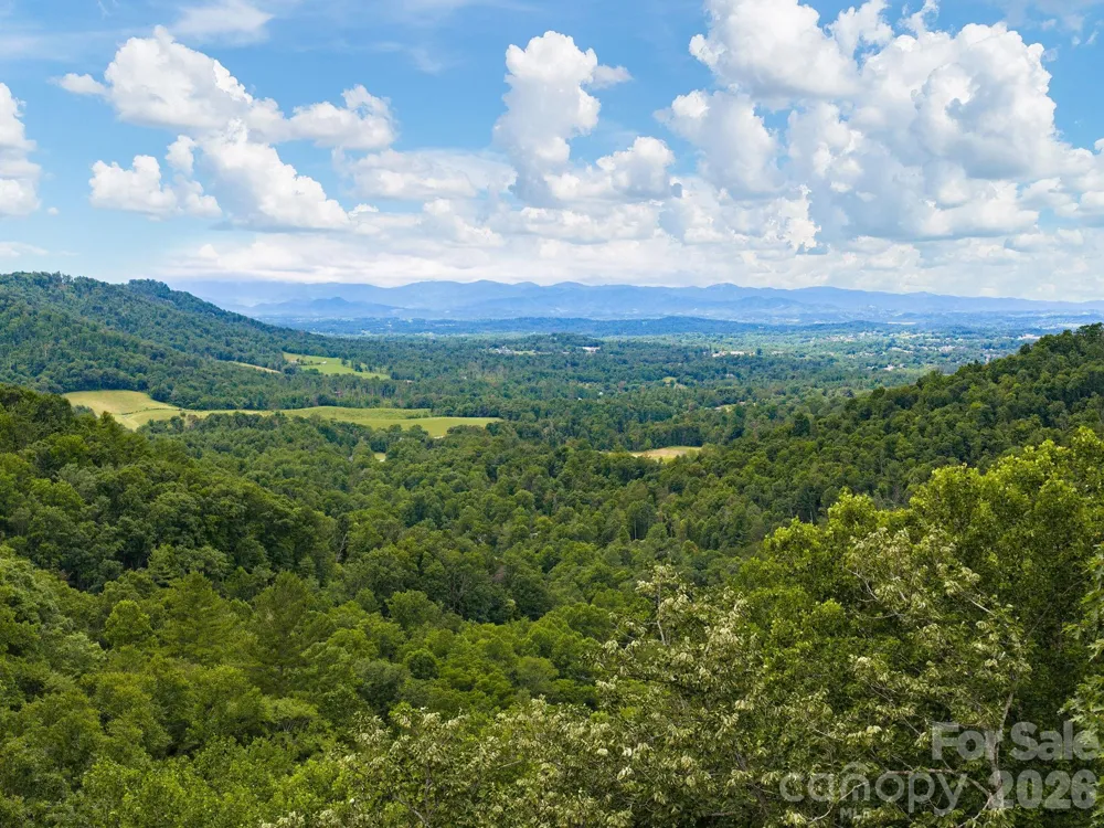 46 Perennial Ridge Weaverville, NC 28787