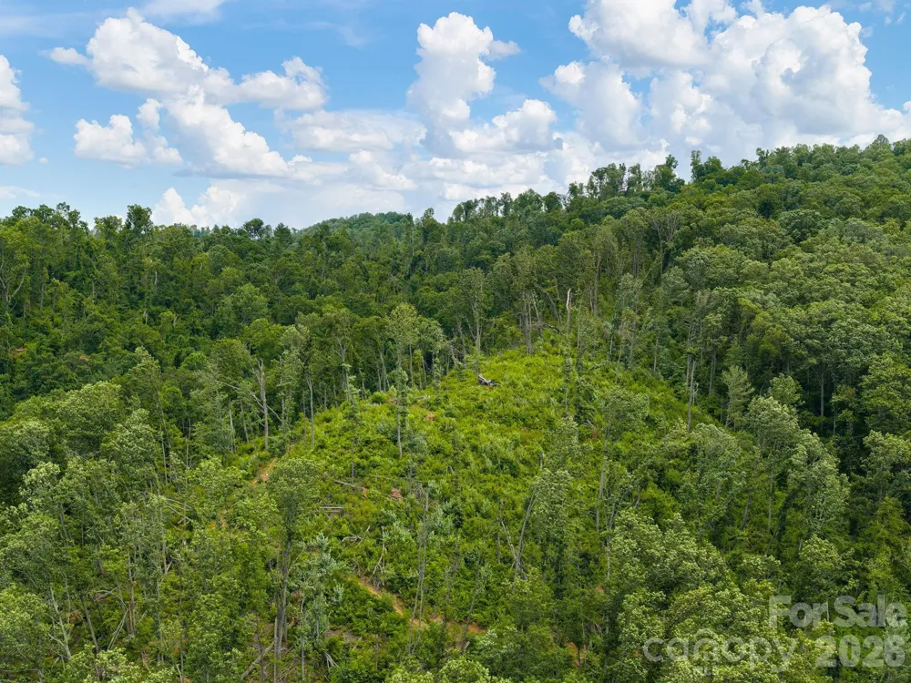46 Perennial Ridge Weaverville, NC 28787