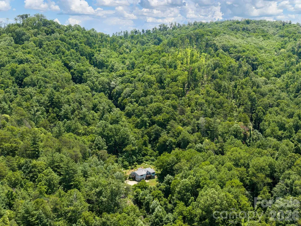 46 Perennial Ridge Weaverville, NC 28787