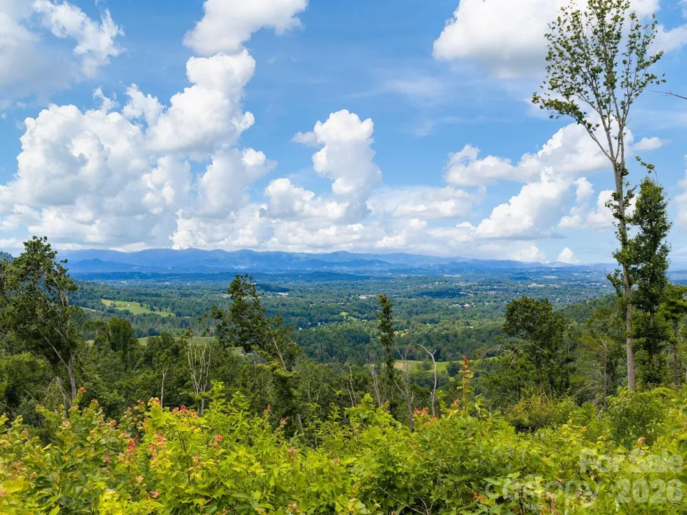 46 Perennial Ridge Weaverville, NC 28787