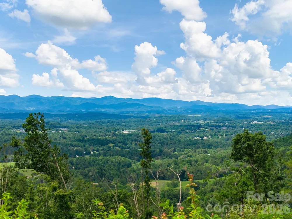 46 Perennial Ridge Weaverville, NC 28787