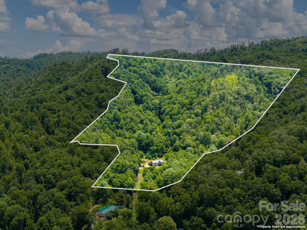 46 Perennial Ridge Weaverville, NC 28787