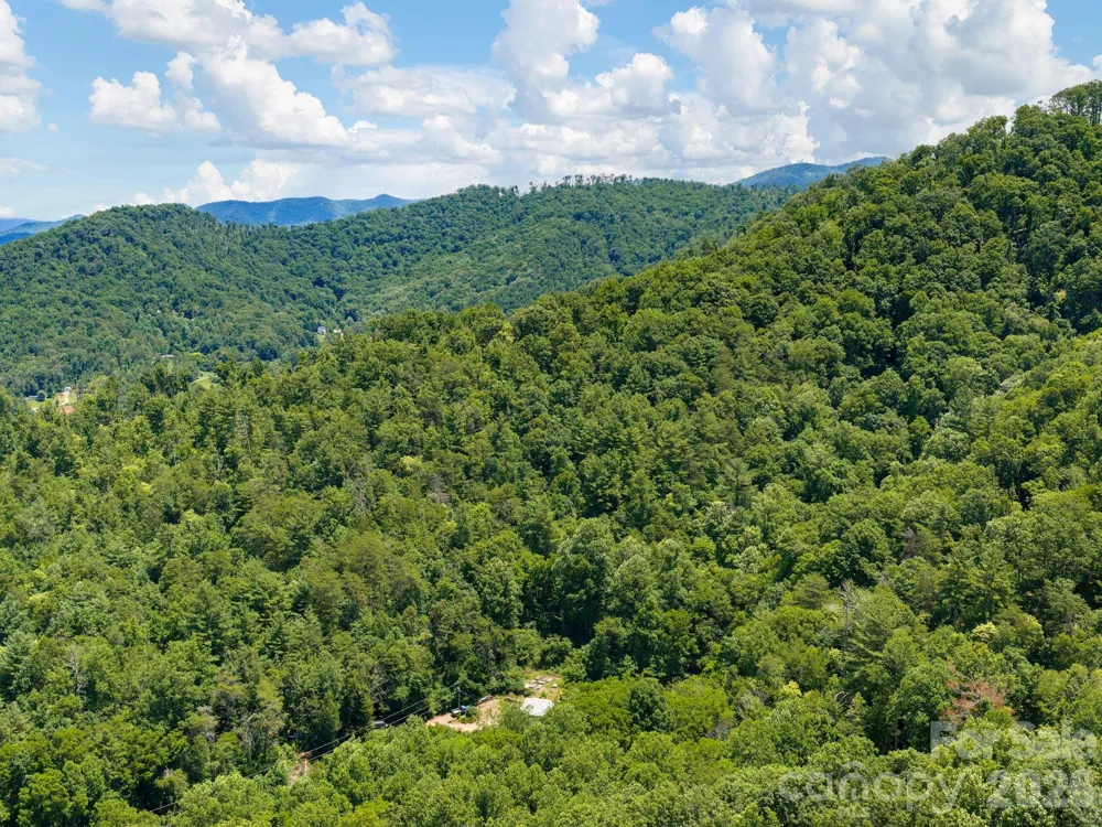 46 Perennial Ridge Weaverville, NC 28787