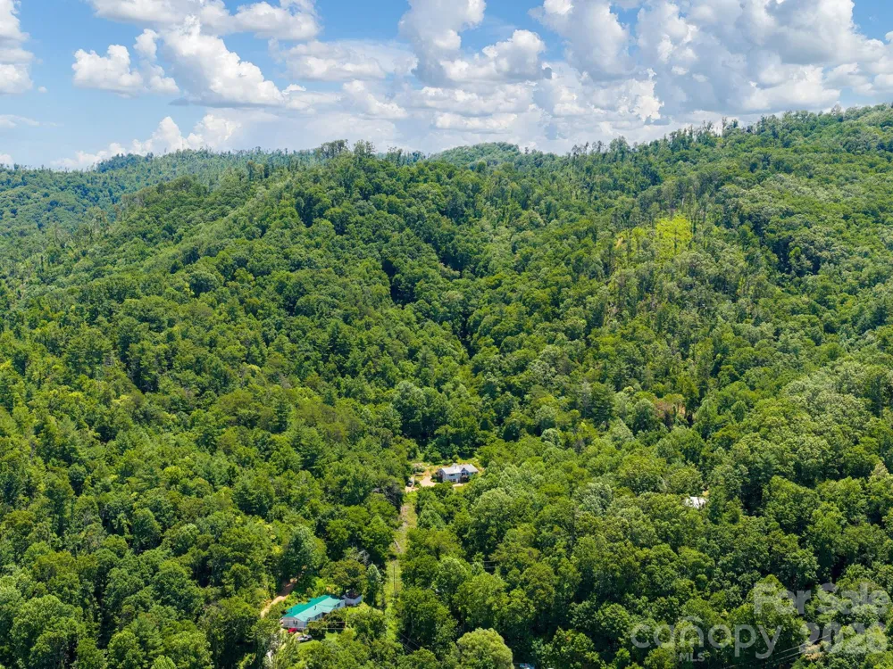 46 Perennial Ridge Weaverville, NC 28787