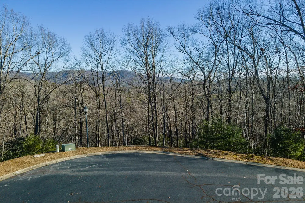 80 Buckhead Trail #27 Horse Shoe, NC 28742