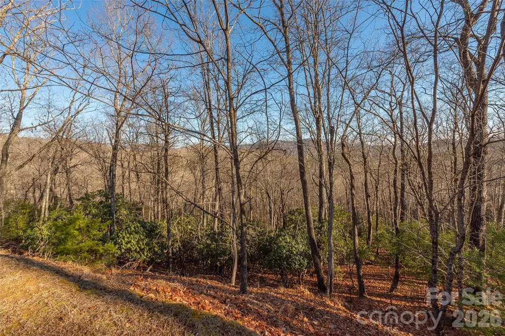 80 Buckhead Trail #27 Horse Shoe, NC 28742