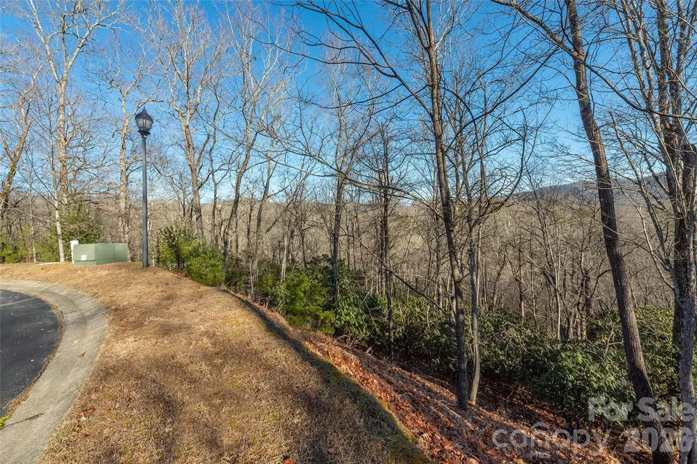 80 Buckhead Trail #27 Horse Shoe, NC 28742