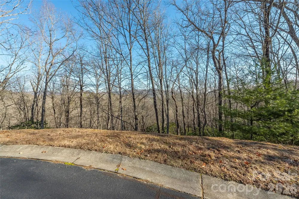 80 Buckhead Trail #27 Horse Shoe, NC 28742