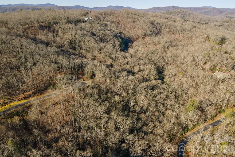 80 Buckhead Trail #27 Horse Shoe, NC 28742