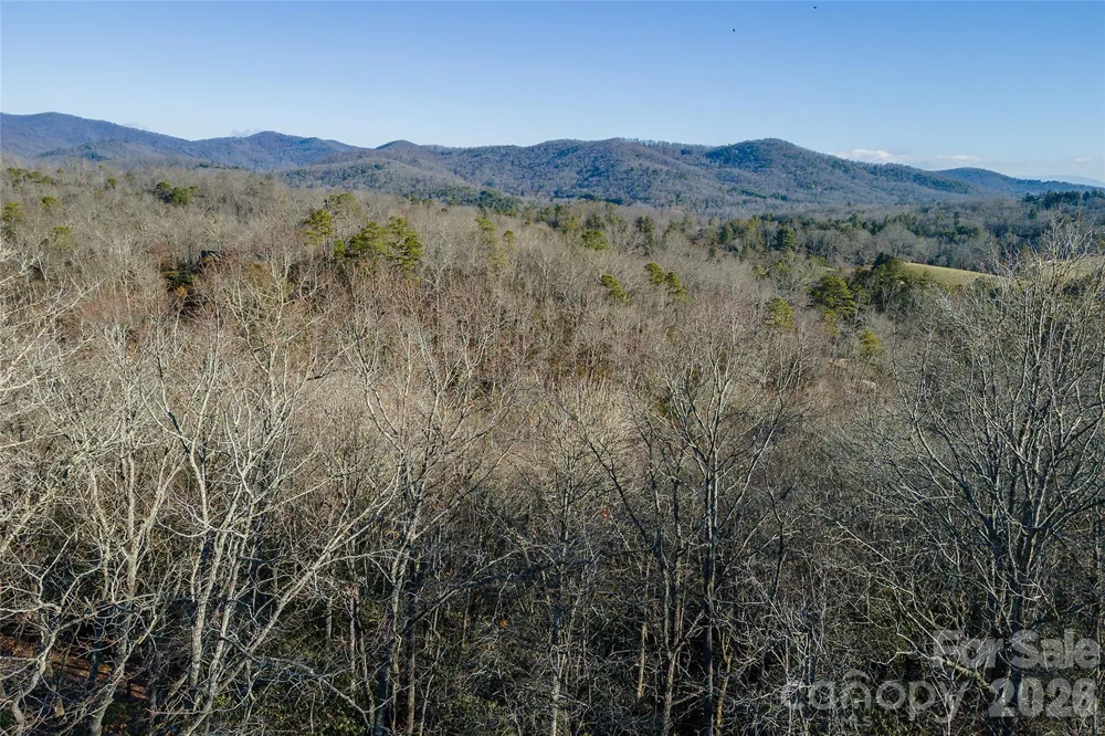80 Buckhead Trail #27 Horse Shoe, NC 28742