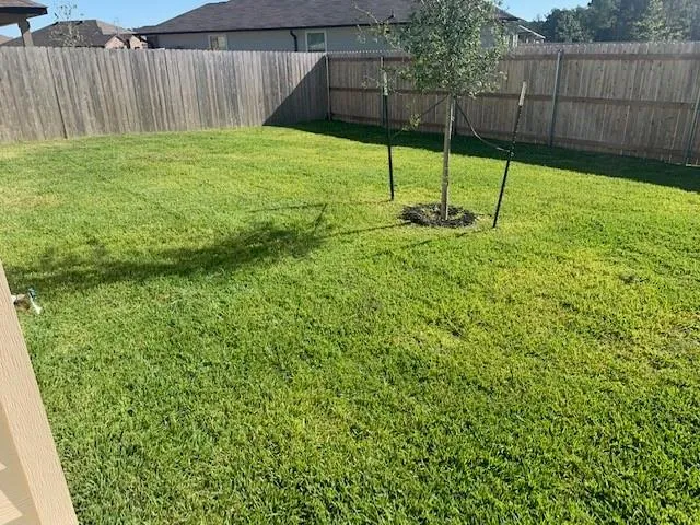 203 Comal Drive Huntsville, TX 77340