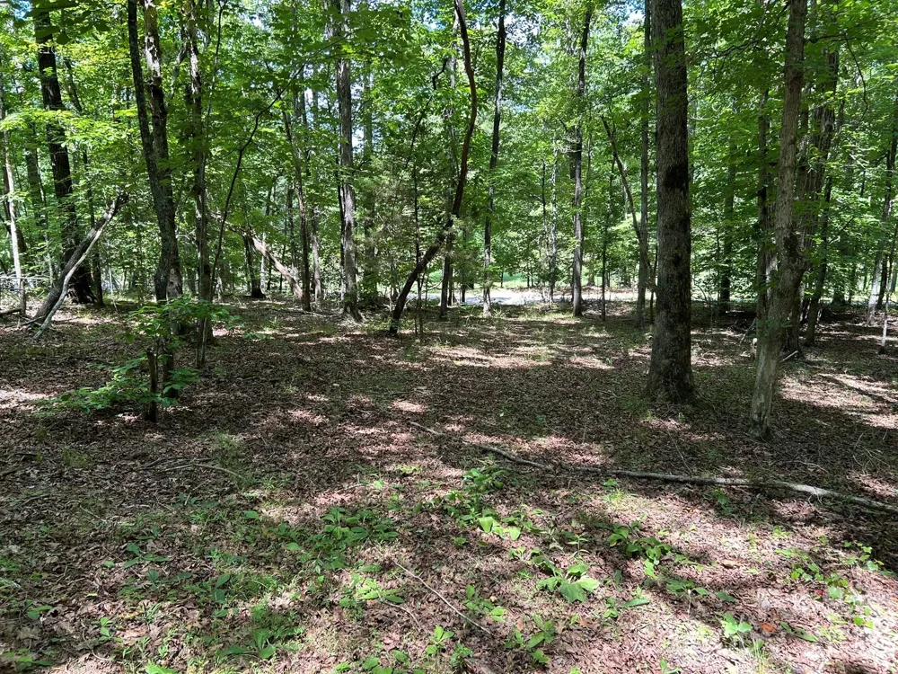 0 Wilderness Ridge #4 Rutherfordton, NC 28139
