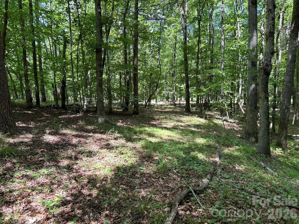 0 Wilderness Ridge #4 Rutherfordton, NC 28139