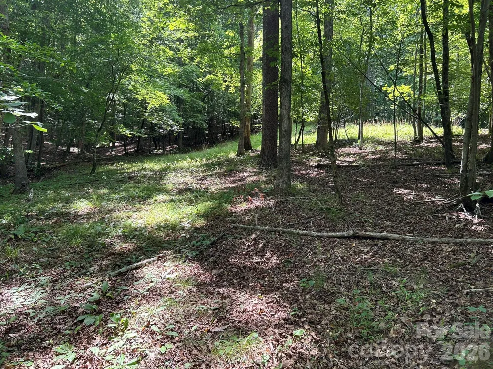 0 Wilderness Ridge #4 Rutherfordton, NC 28139