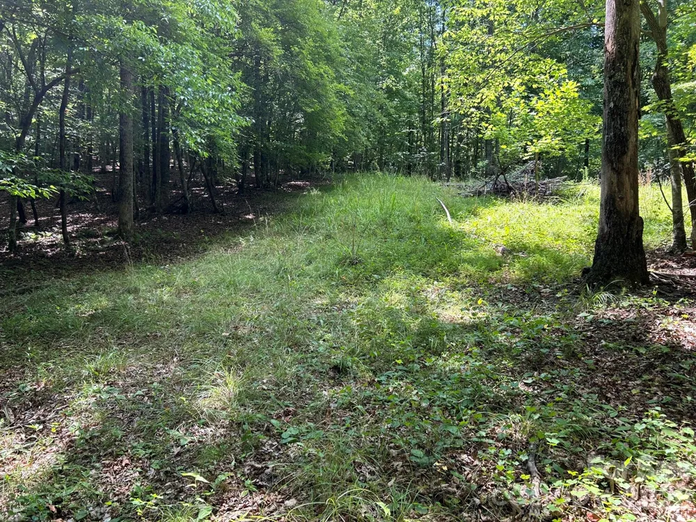 0 Wilderness Ridge #4 Rutherfordton, NC 28139