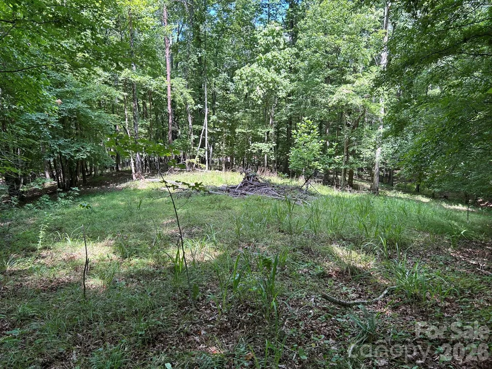 0 Wilderness Ridge #4 Rutherfordton, NC 28139