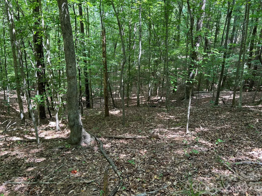 0 Wilderness Ridge #4 Rutherfordton, NC 28139