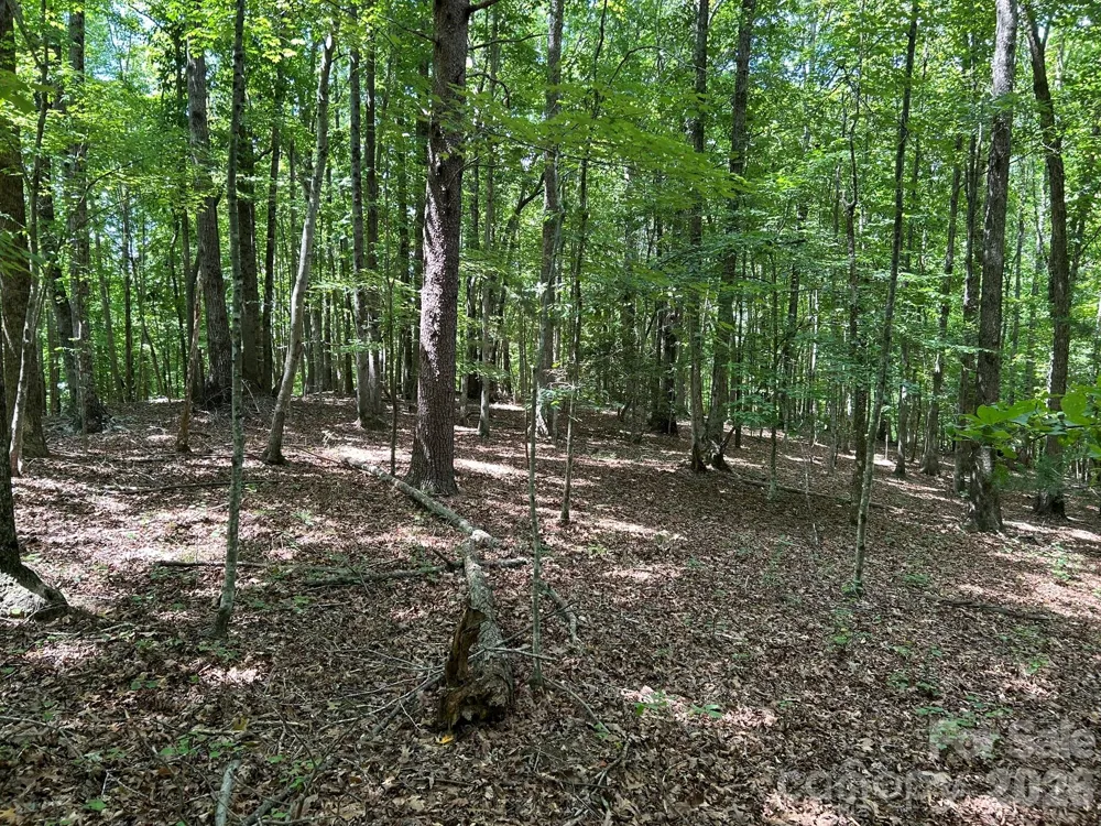 0 Wilderness Ridge #4 Rutherfordton, NC 28139