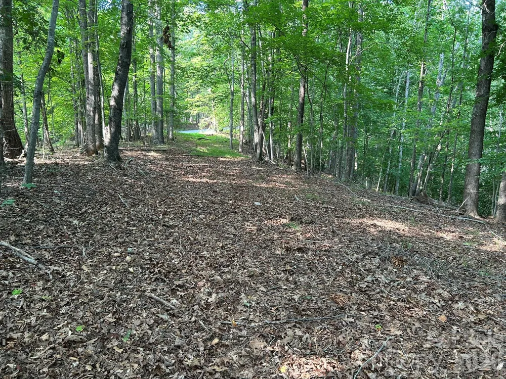 00 Wilderness Ridge Rutherfordton, NC 28139