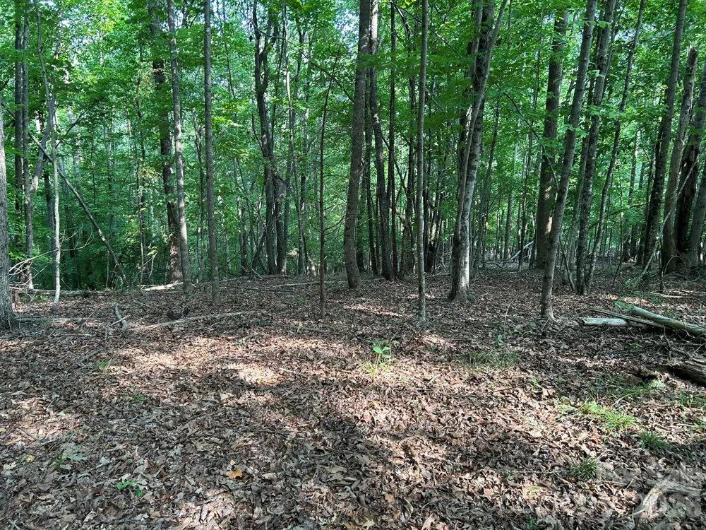 00 Wilderness Ridge Rutherfordton, NC 28139
