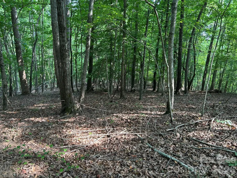00 Wilderness Ridge Rutherfordton, NC 28139