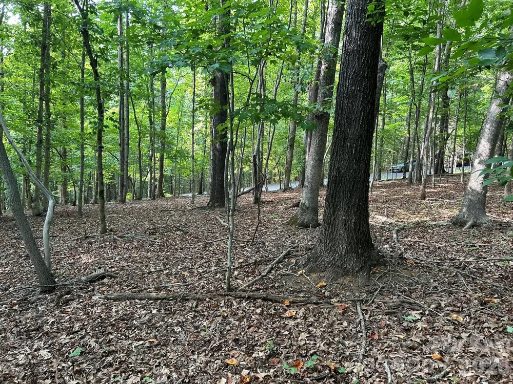 00 Wilderness Ridge Rutherfordton, NC 28139