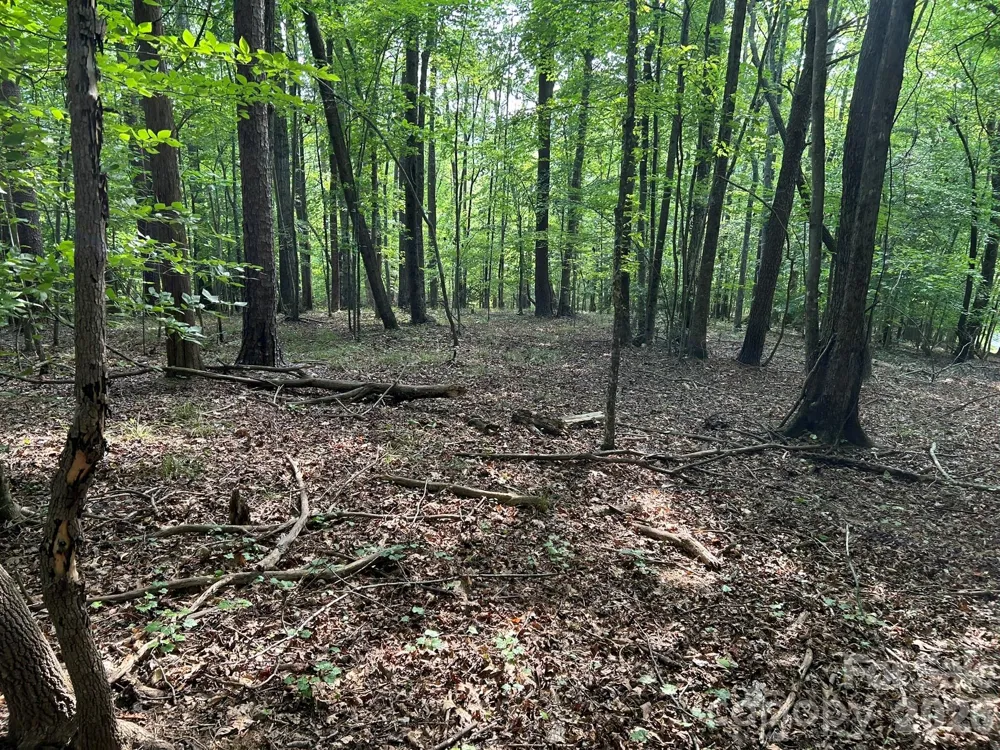 00 Wilderness Ridge Rutherfordton, NC 28139