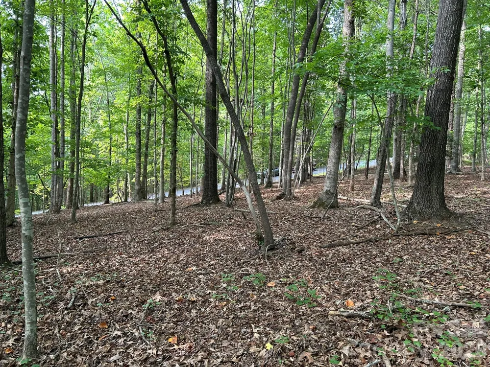 00 Wilderness Ridge Rutherfordton, NC 28139