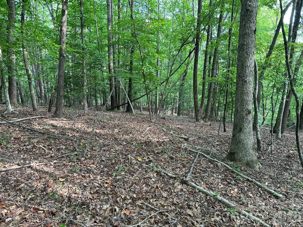 00 Wilderness Ridge Rutherfordton, NC 28139
