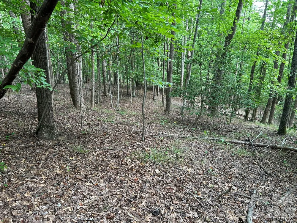 00 Wilderness Ridge Rutherfordton, NC 28139