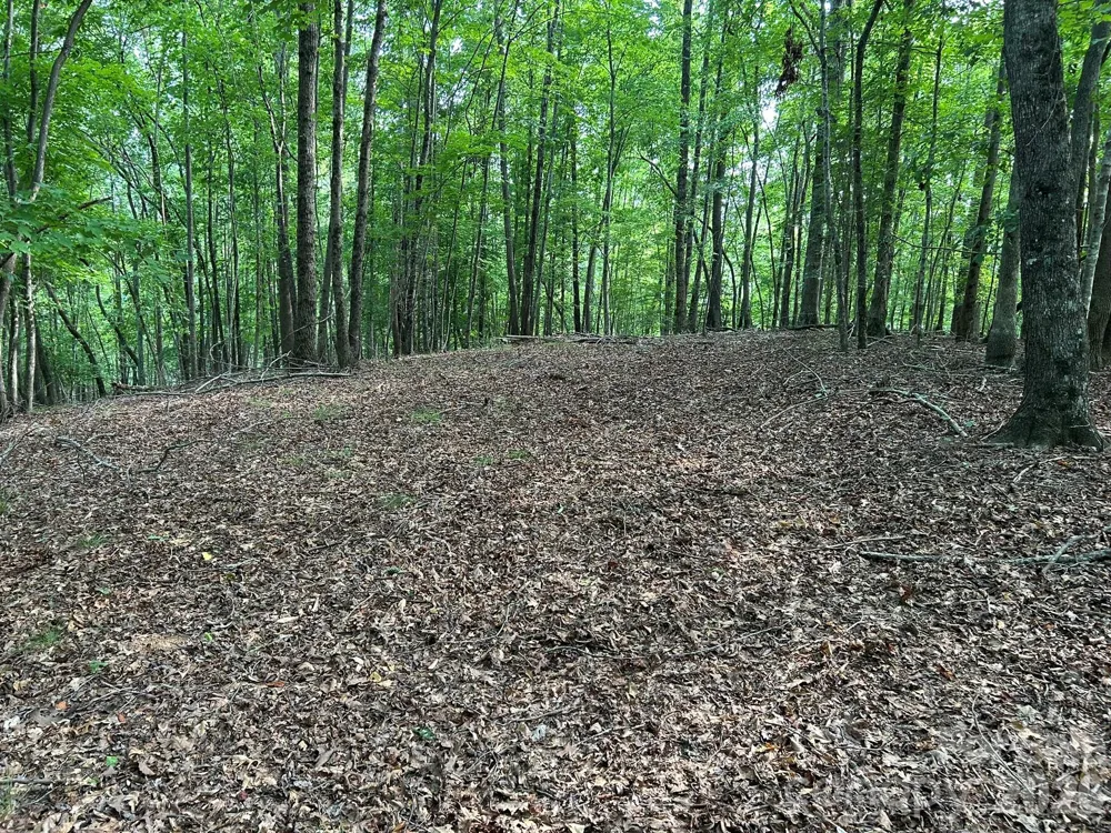 00 Wilderness Ridge Rutherfordton, NC 28139