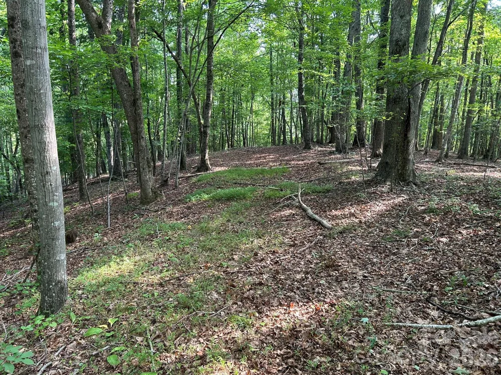00 Wilderness Ridge Rutherfordton, NC 28139