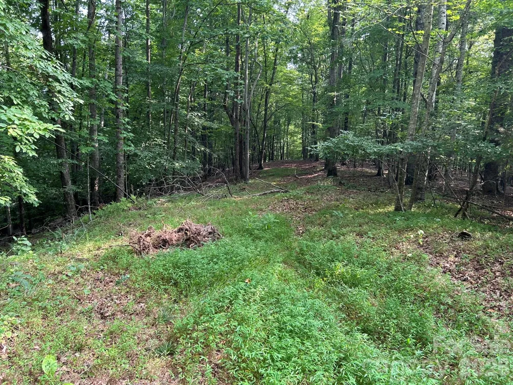 00 Wilderness Ridge Rutherfordton, NC 28139