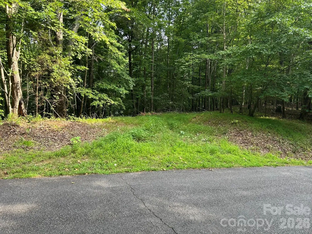 00 Wilderness Ridge Rutherfordton, NC 28139