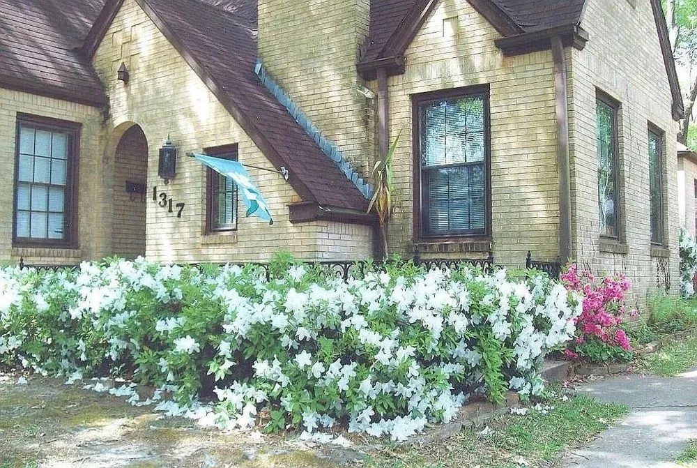 1317 Sneed Drive Tyler, TX 75701