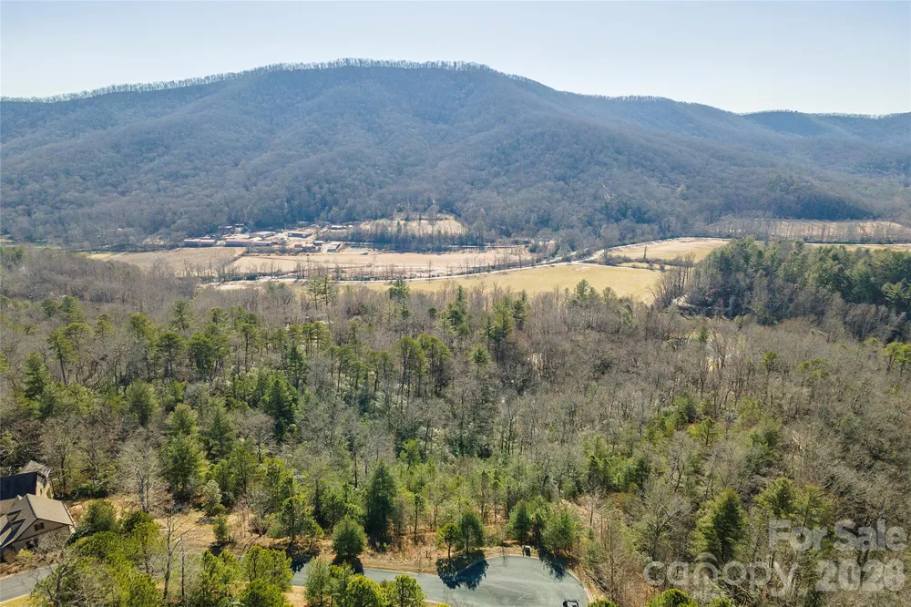 99999 Woodhen Way #138 & 139 Horse Shoe, NC 28742