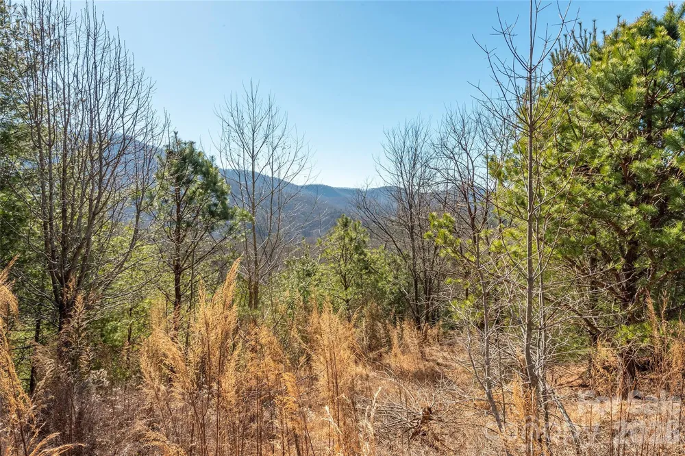 99999 Woodhen Way #138 & 139 Horse Shoe, NC 28742