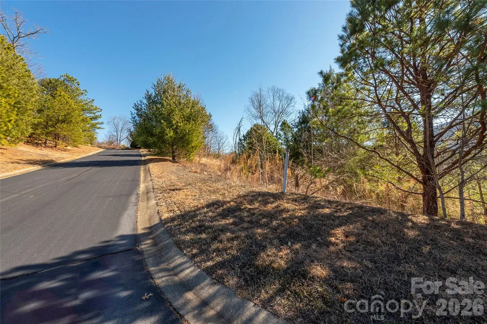 99999 Woodhen Way #138 & 139 Horse Shoe, NC 28742