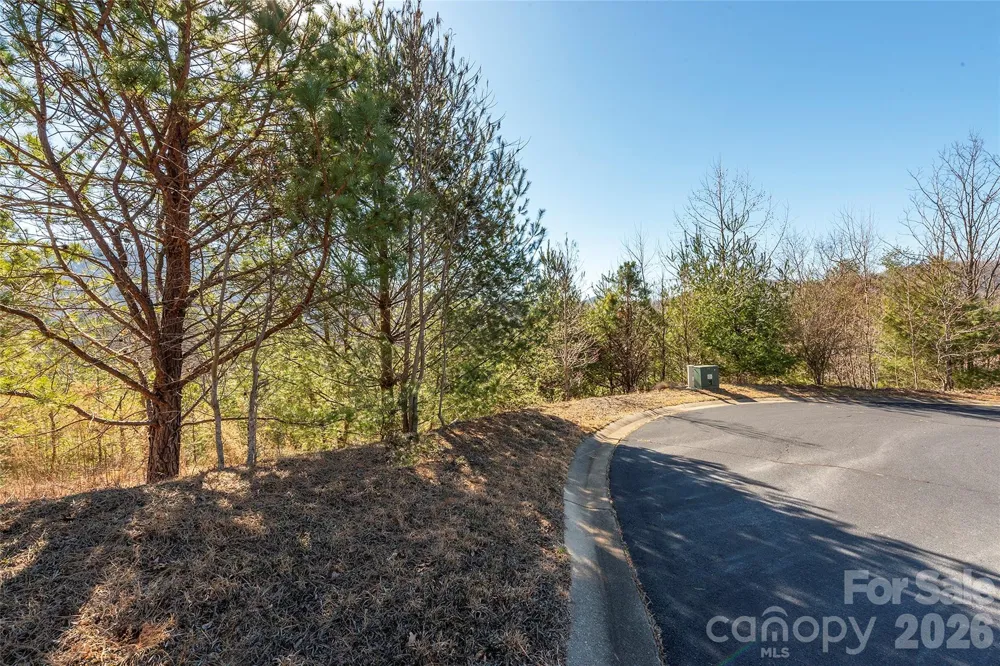 99999 Woodhen Way #138 & 139 Horse Shoe, NC 28742