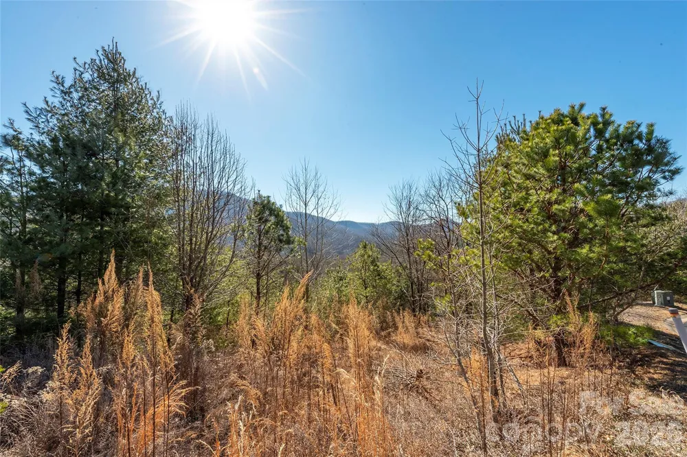 99999 Woodhen Way #138 & 139 Horse Shoe, NC 28742