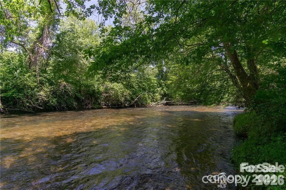 99999 Woodhen Way #138 & 139 Horse Shoe, NC 28742