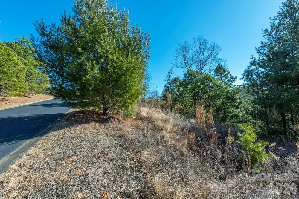 99999 Woodhen Way #138 & 139 Horse Shoe, NC 28742