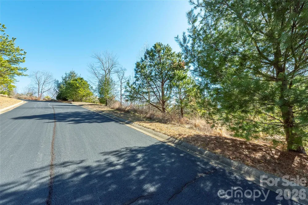 99999 Woodhen Way #138 & 139 Horse Shoe, NC 28742
