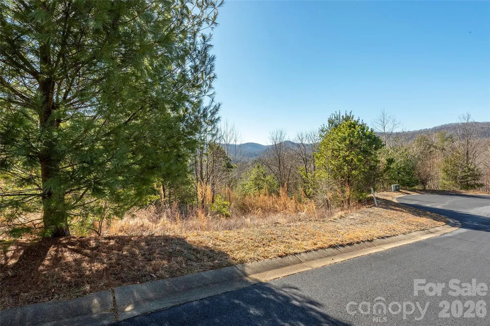99999 Woodhen Way #138 & 139 Horse Shoe, NC 28742