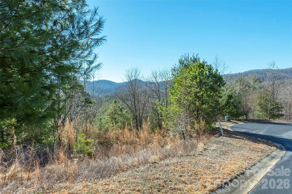 99999 Woodhen Way #138 & 139 Horse Shoe, NC 28742