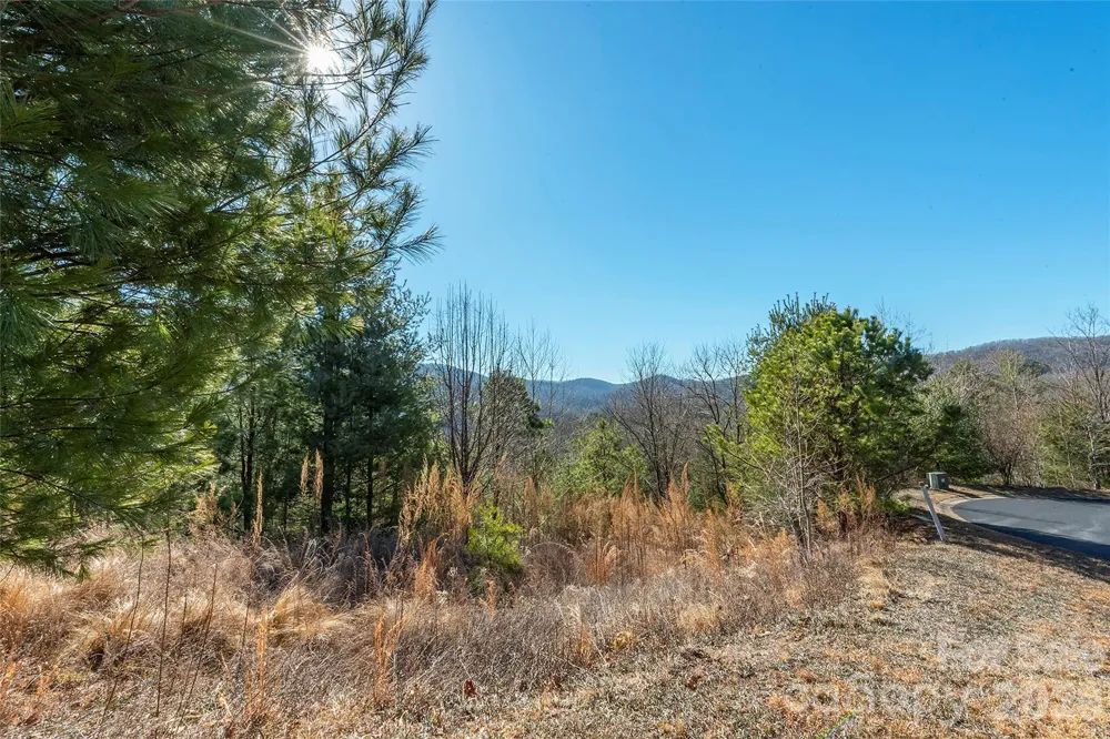 99999 Woodhen Way #138 & 139 Horse Shoe, NC 28742