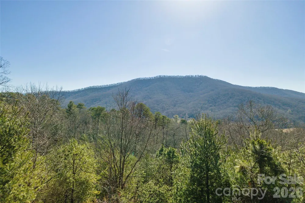 99999 Woodhen Way #138 & 139 Horse Shoe, NC 28742